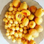 Ольга Криушина